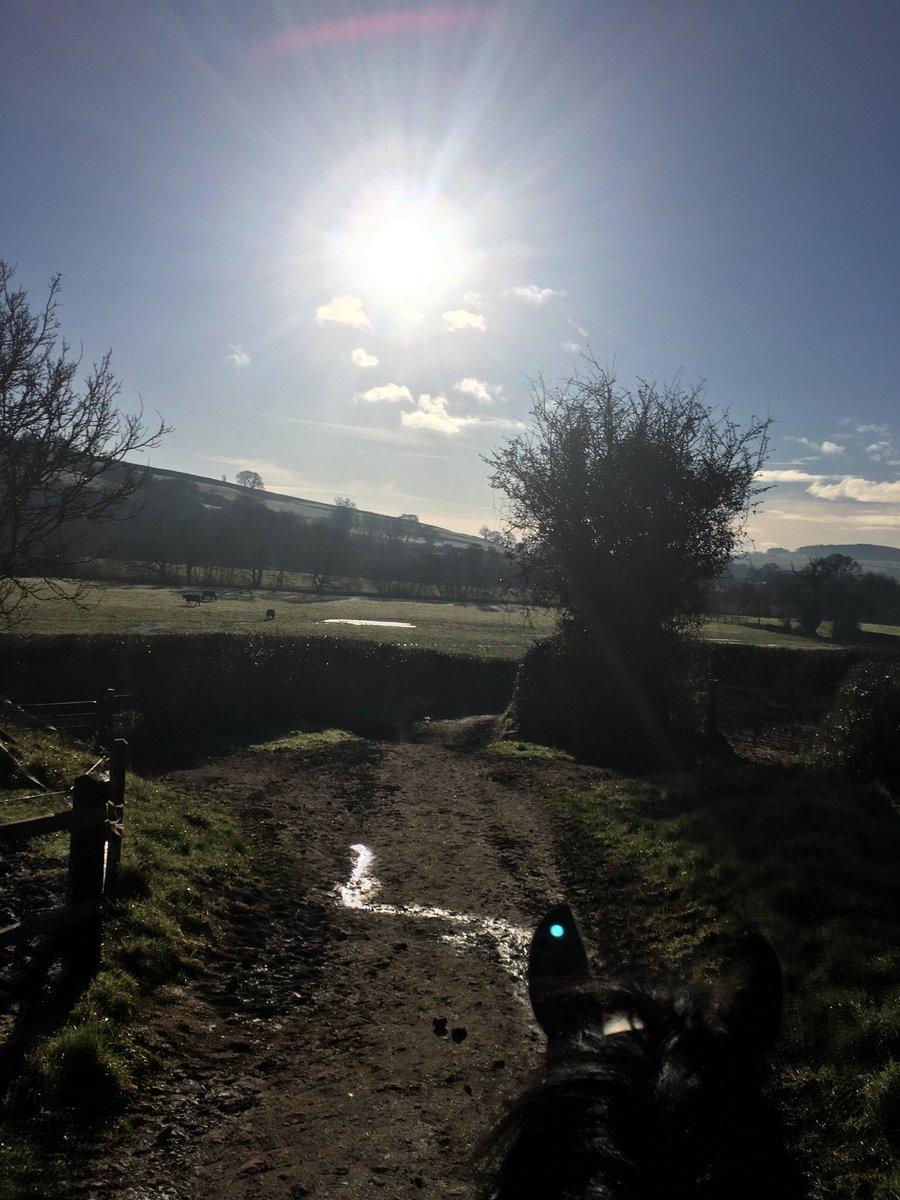 Team Bleekman tweet media