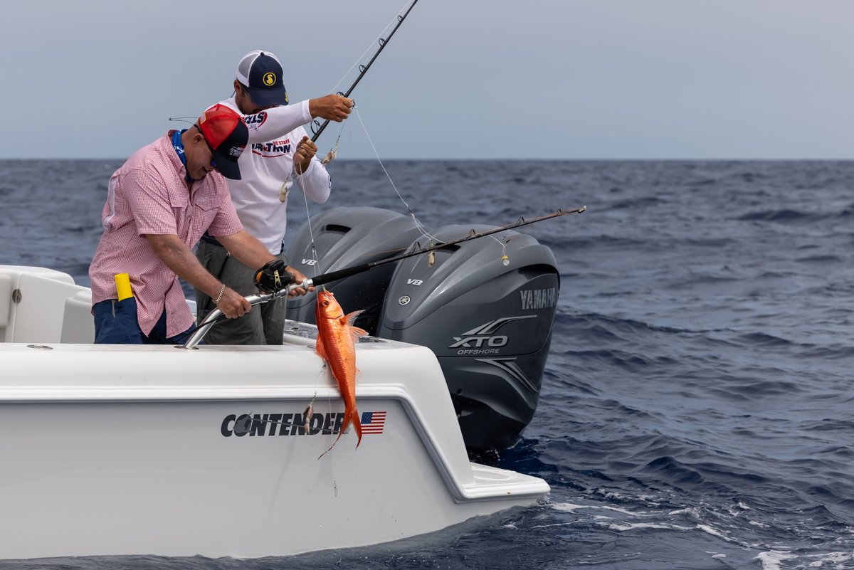 SportsmansADV's tweet photo. "It's my favorite color!" -Capt. Rick Murphy
@contenderboatsofficial @aftco @yamahaoutboards
.
.
#offshorefishing #snapperfishing #queensnapper #deepdropping #saltwaterfishing #yamahasa #yamahaoutboards #fishingforadventure https://t.co/Vc3UyMUbpR