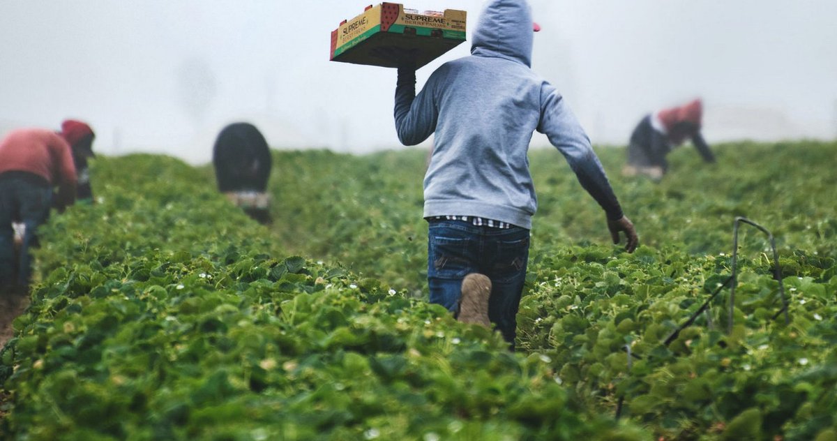 Ideo_demain's tweet photo. Exemple à Pessat-Villeneuve : au-delà des réticences, la commune a accueilli plus de 519 migrants et réfugiés depuis 2015. Aujourd'hui plus de 70 d'entre-eux travaillent sur le territoire : https://t.co/wHVO3zgkcC https://t.co/bBcmuEN4D7