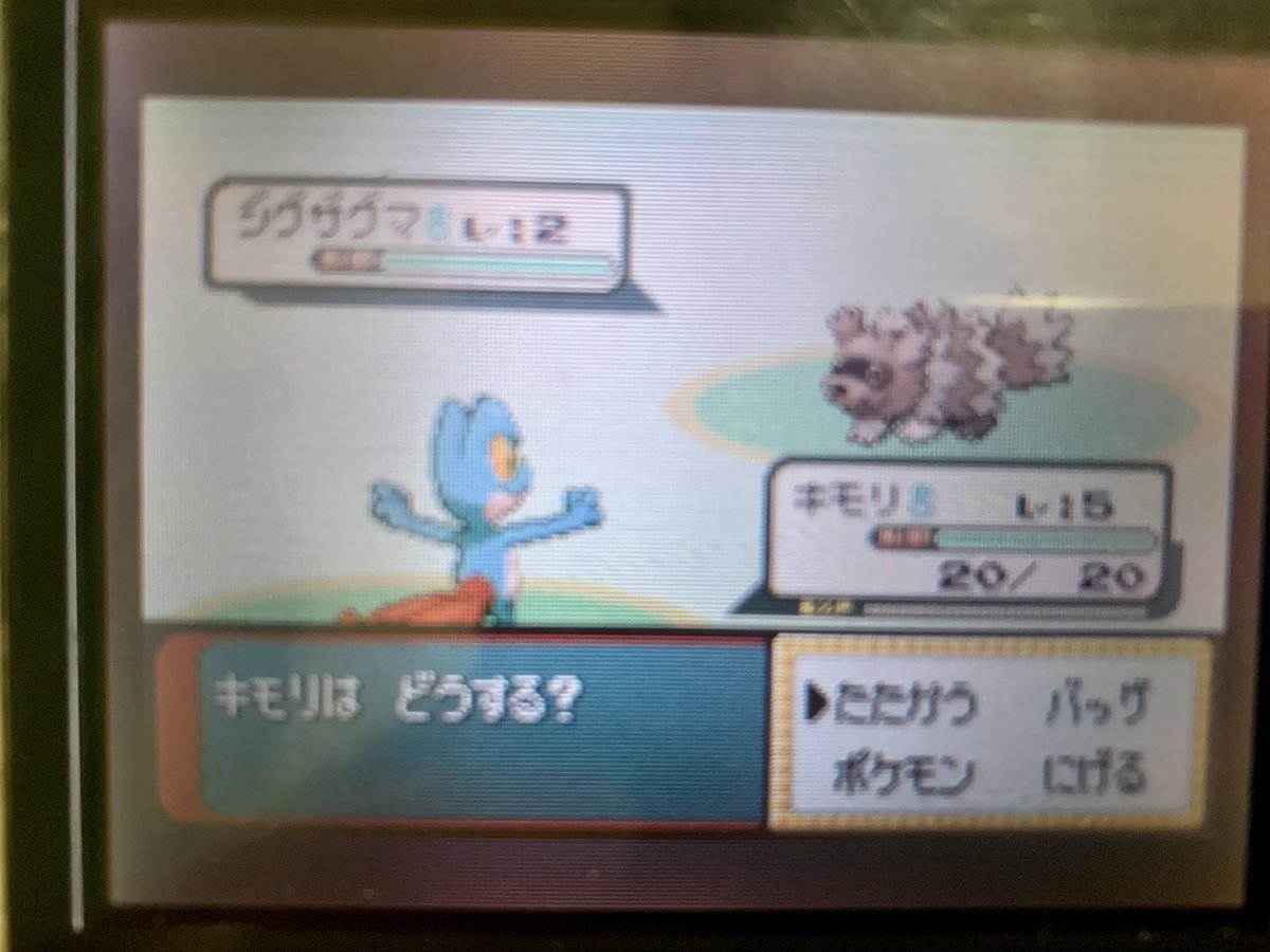 Jury ポケモン 交換 垢 Jury Pokemon Twitter Jury ポケモン 交換 垢 Jury Pokemon Twitter