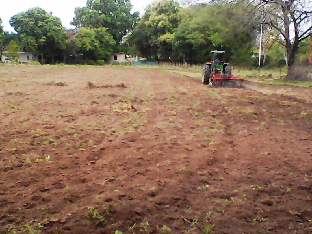#26Feb Gobernador <a href="/RangelSilva4F/">Rangel Silva</a> a traves de la <a href="/ddagroecologico/">DGDAGROECOLÓGICO</a> y la Jefatura de eje Agropecuario inicio el Plan de mecanizacion de 1000ha en la parroquia la paz #Plan21 #TrujilloPotencia <a href="/NicolasMaduro/">Nicolás Maduro</a> <a href="/wcastroPSUV/">Wilmar Castro</a> <a href="/iniavenezuela/">INIA Venezuela🇻🇪</a> <a href="/INTi_Venezuela/">Instituto Nacional de Tierras (INTi)</a> <a href="/InsaiVeOficial/">INSAI</a> <a href="/indervenezuela/">INDER</a>