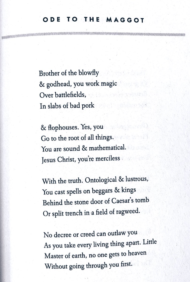 RichieHof's tweet photo. Yusef Komunyakaa, “Ode to the Maggot” https://t.co/dW3XLwtEBY