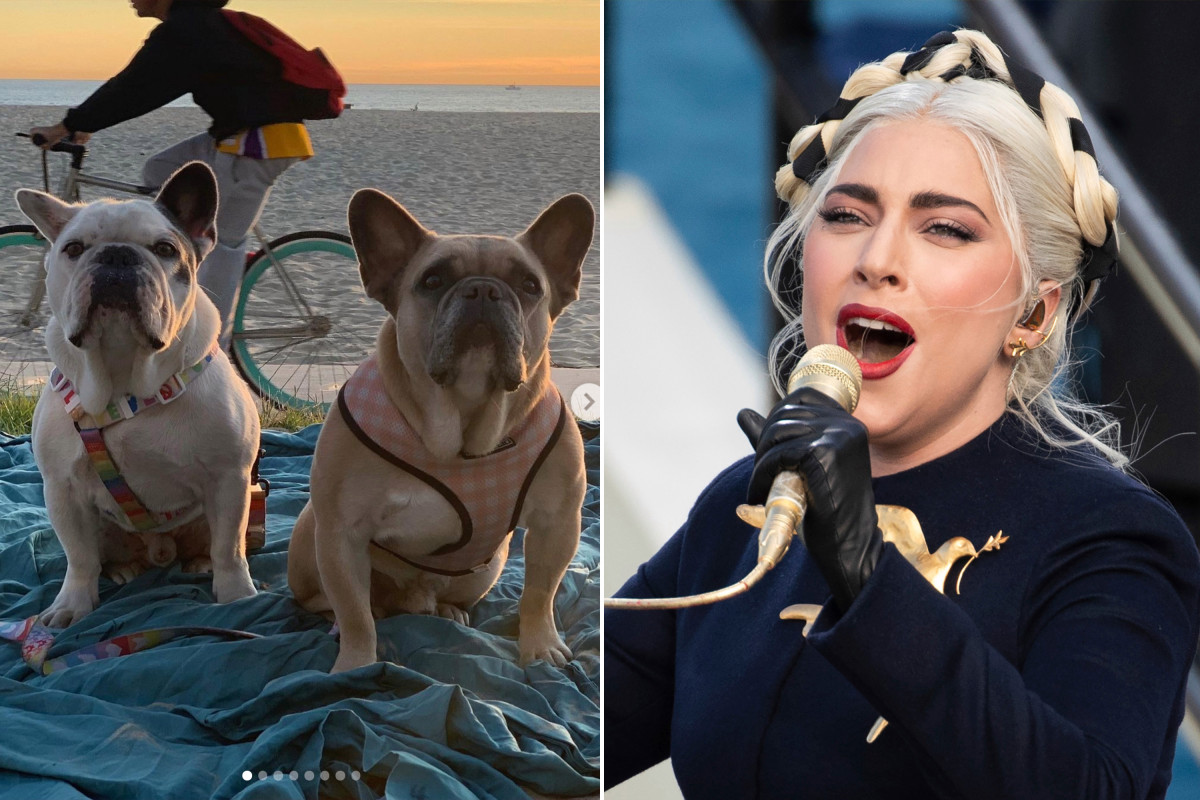 Lady Gaga's French bulldogs recovered safely LAPD