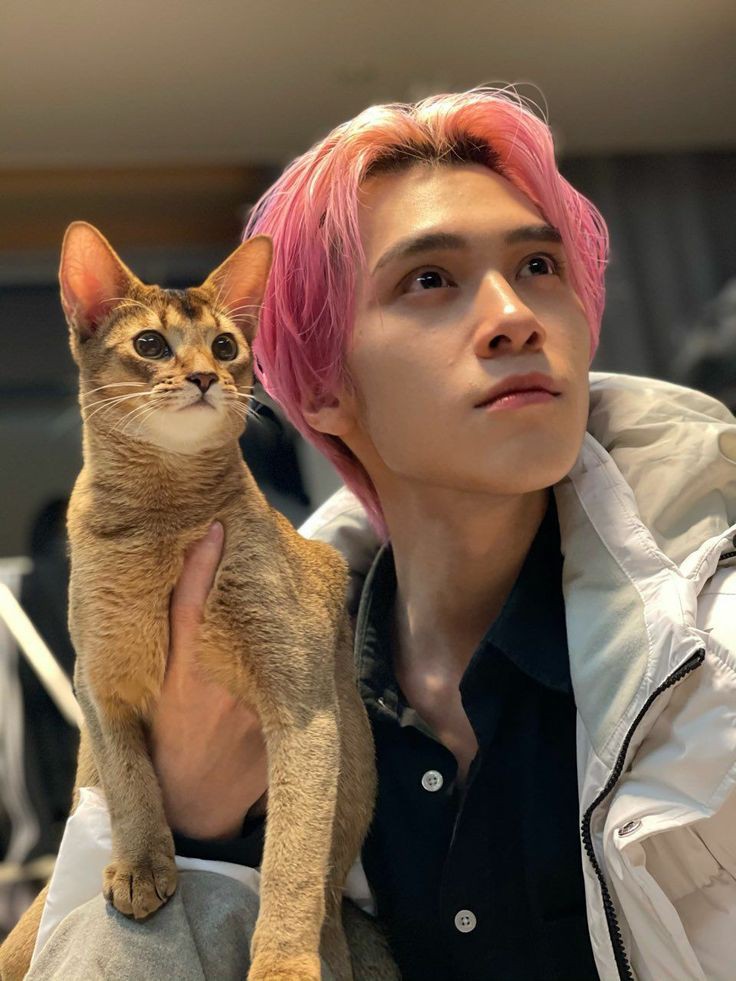 xnxlsjjs's tweet photo. yaa leon ulangtahun semoga leon ga kek bella ya nak😔 sehat terus yaa nak jangan nakal sama bapak mu😽 
#HappyLeonDay
#LeonBestCat
#LeonKucing
#LeonWayV
#LeonNCT https://t.co/SuhrFXPwXa