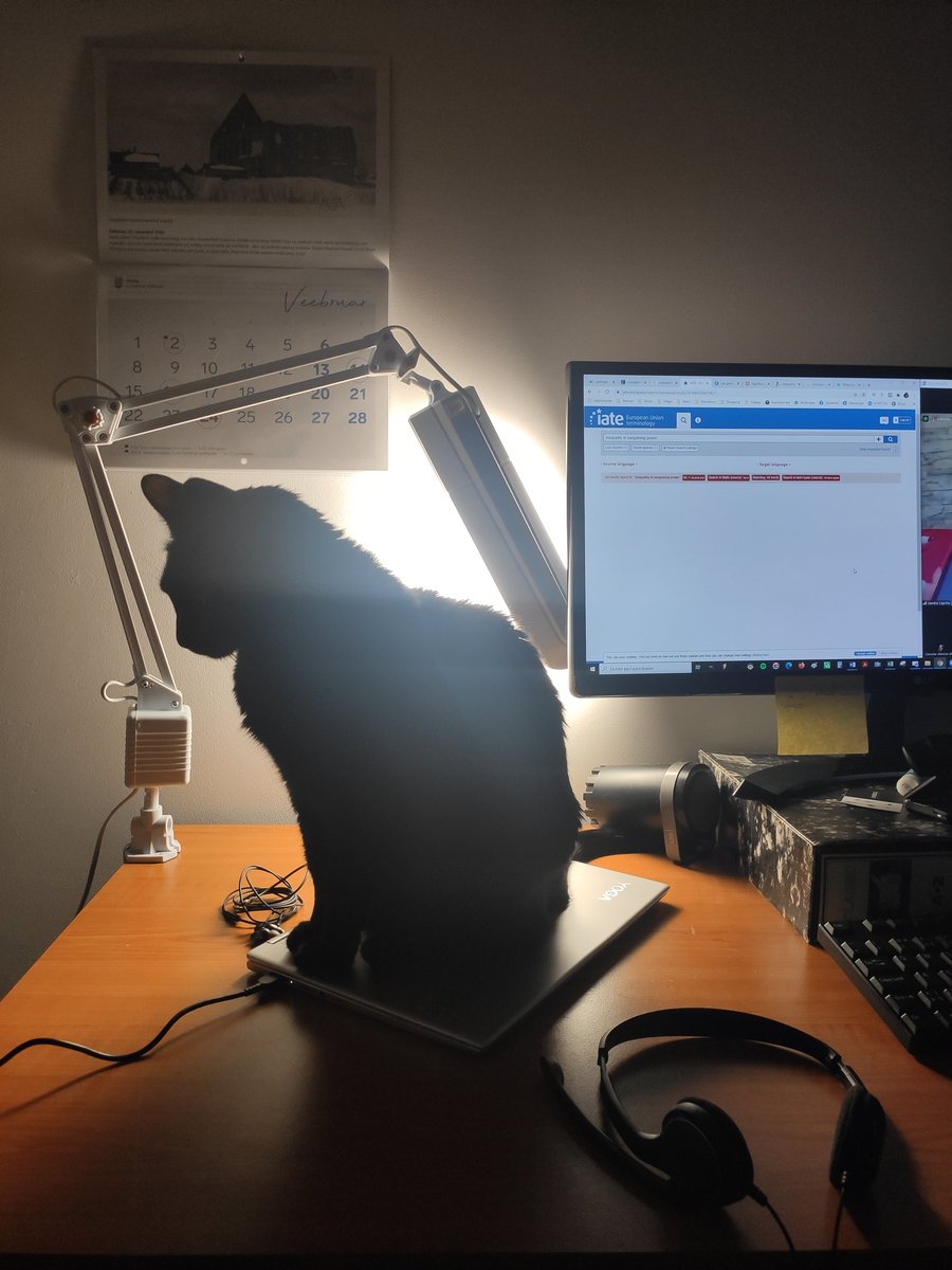 MaritVosaste's tweet photo. My super personalized RSI hub 😹
#1nt #RSI https://t.co/cAHyqdoInD