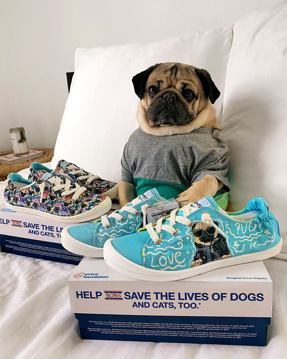 bobs doug the pug shoes