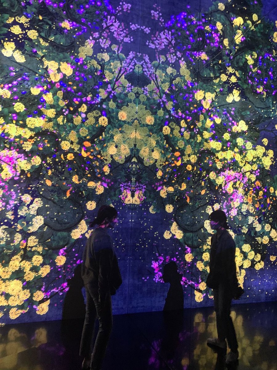 이 사진들이 다... 류진씨가 찍어준거란거지.......... 도랏나바