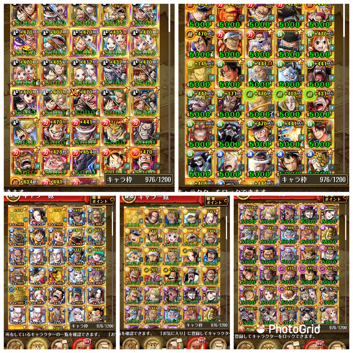 トレジャークルーズ