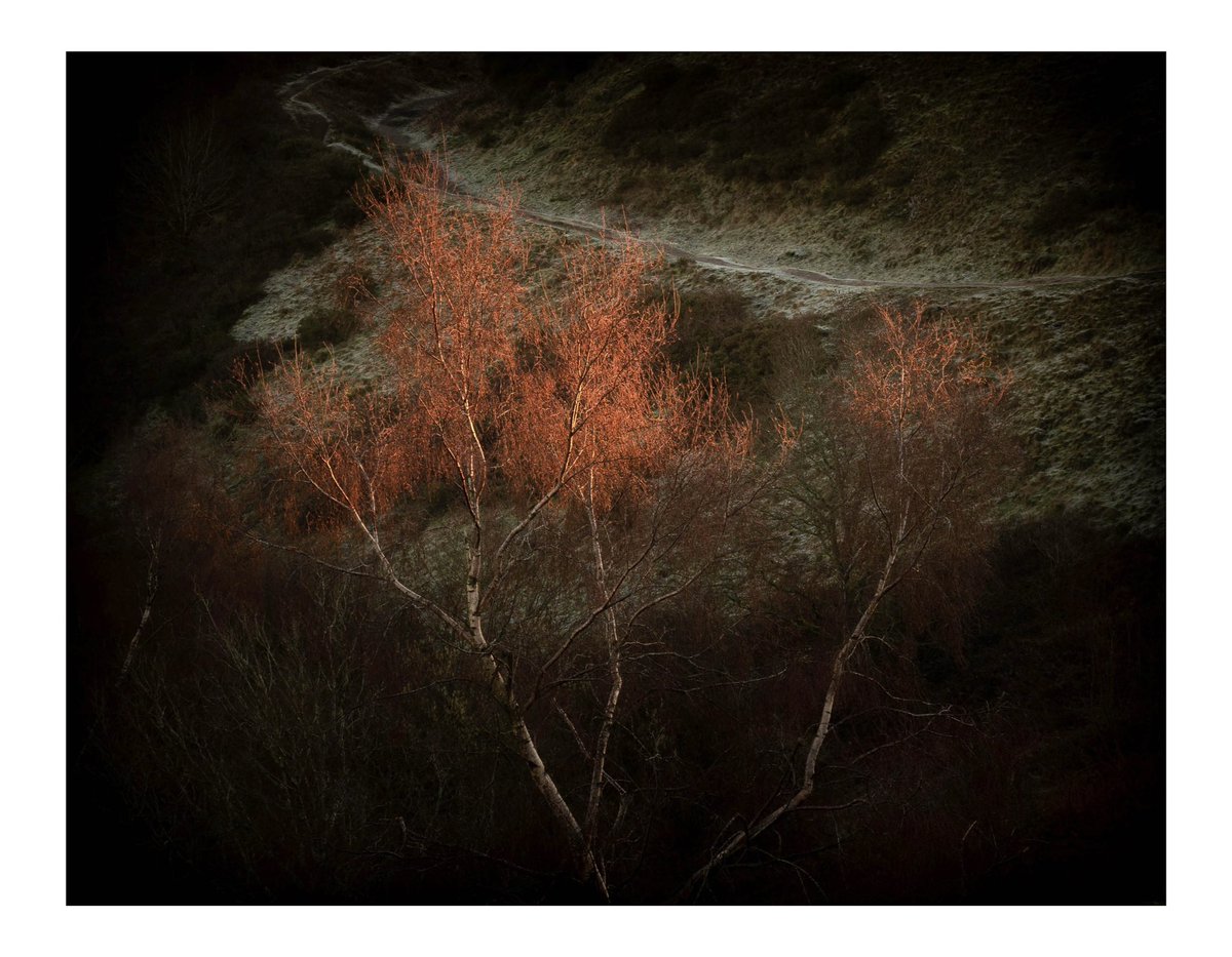 StumpStone's tweet image. #landscapephotography #malvernhills