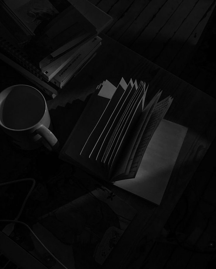 ㅤㅤㅤ𝐬𝐚𝐫𝐝𝐨𝐧𝐢𝐜 𝐡𝐮𝐦𝐨𝐫 𝐢𝐬 𝐣𝐮𝐬𝐭 𝐦𝐲 
ㅤㅤㅤ𝐰𝐚𝐲 𝐨𝐟 𝐫𝐞𝐥𝐚𝐭𝐢𝐧𝐠 𝐭𝐨 𝐭𝐡𝐞 𝐰𝐨𝐫𝐥𝐝.