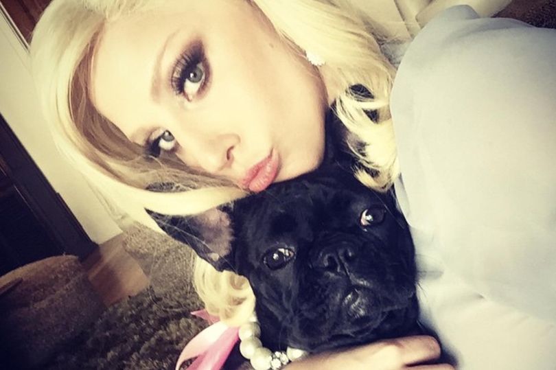EXCLUSIVE: Lady Gaga will pay £70,000 medical bills of dog-walker who was shot in pooch theft mirror.co.uk/3am/celebrity-…