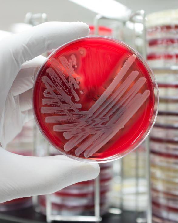 Biotech tweet media