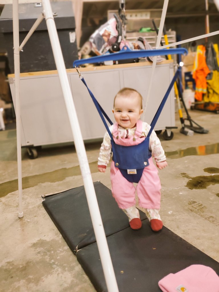 HalfpintLynch89's tweet photo. Shop days are a little different with the new shop boss.. little Miss Ayda around!Setting up our brand new sawmill today! I thought I'd be a lot of things in life-Can't say lumber jacking was ever one I thought I'd be! @NorwoodSawmills @Carhartt @EvenflobabyCA @JollyJumperBaby https://t.co/yoQJQJ4J9W