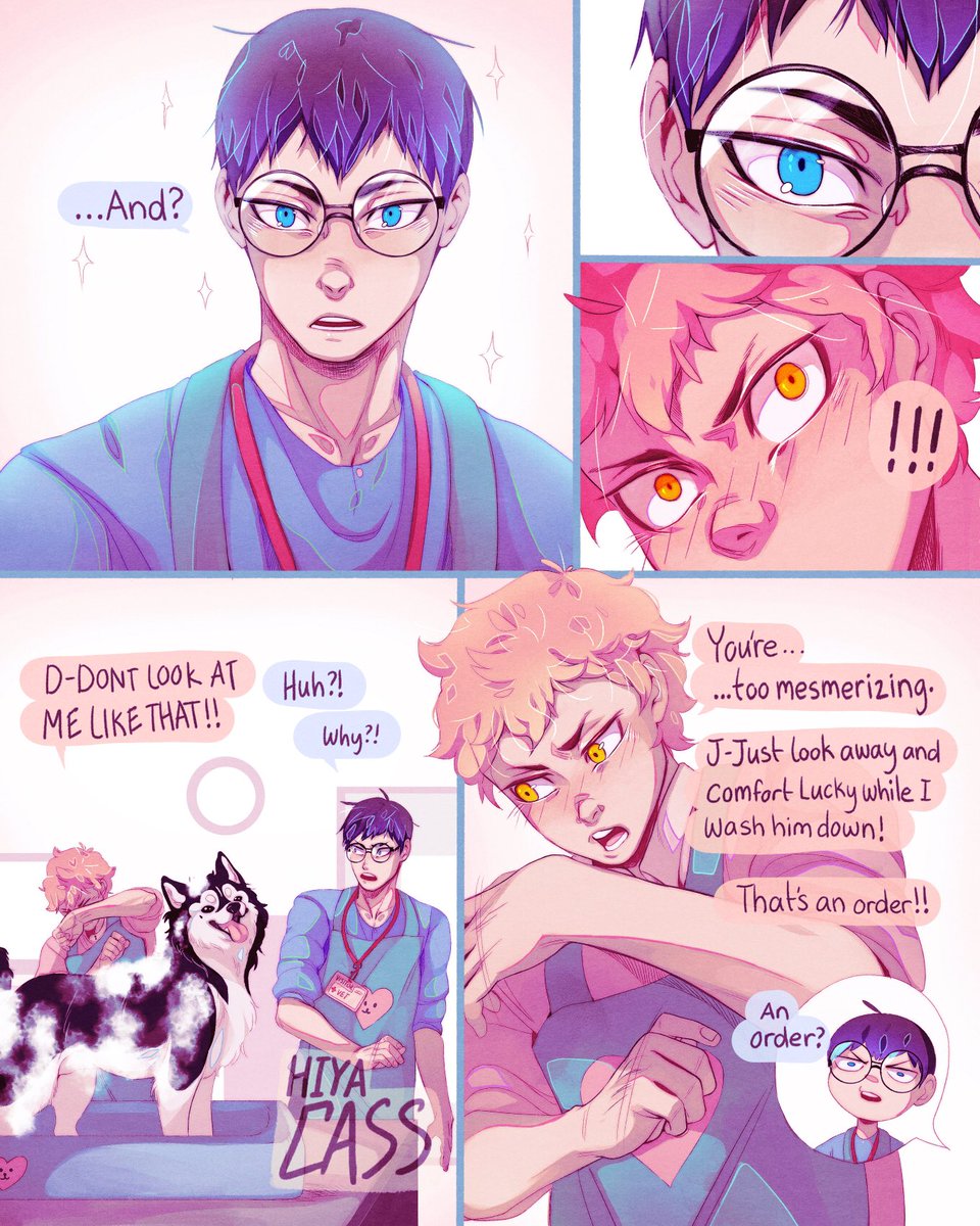 [HQ] Smitten.
kagehina veterinarian/pet-groomer AU 