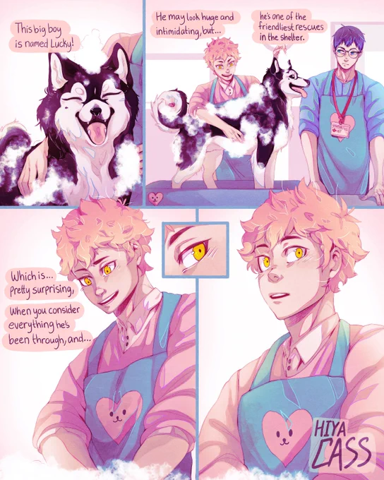 [HQ] Smitten.
kagehina veterinarian/pet-groomer AU 