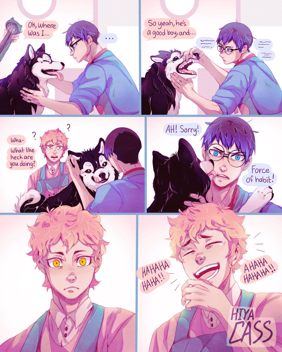 [HQ] Smitten.
kagehina veterinarian/pet-groomer AU 