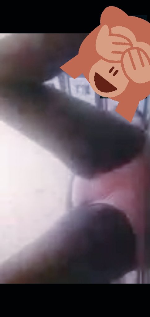 #Papua Hits🥰 tweet media