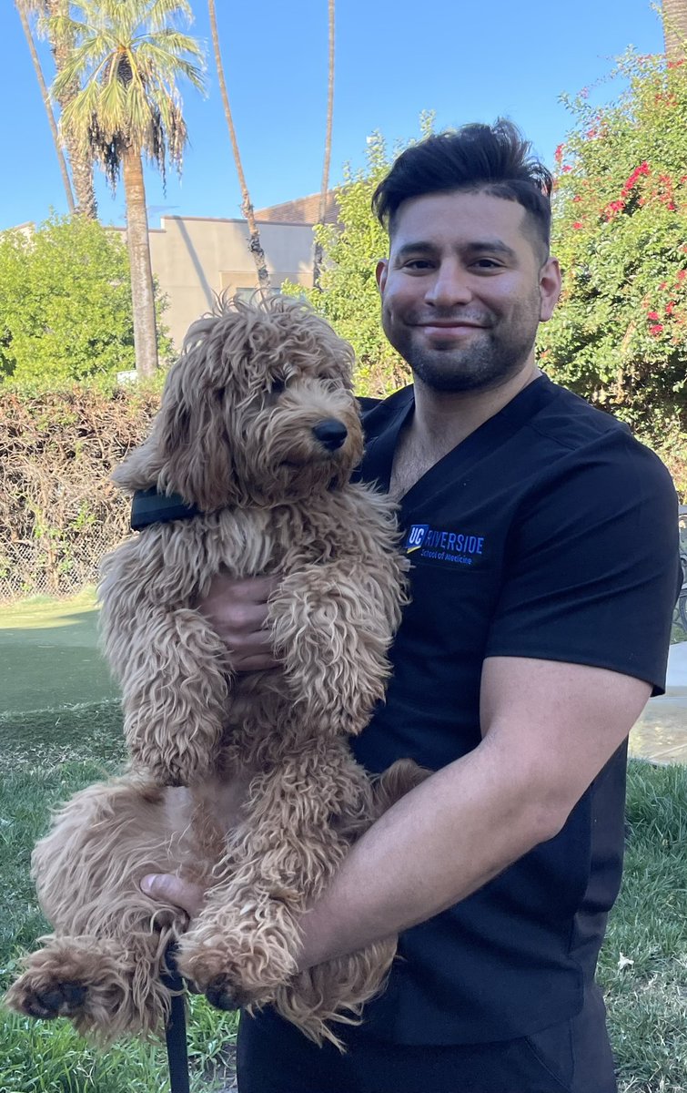 #POCUS #UltraFest2021 <a href="/UltrafestUCI/">UCI Ultrafest</a>