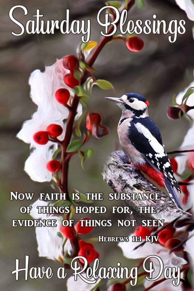 lmourgos's tweet image. Happy Saturday! #goodmorning 
#faithiskey ☕🥯🌄🌹🐦🕊💜🤍😊