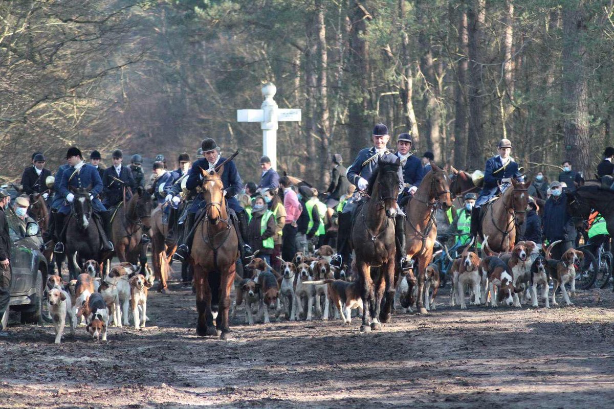 TomDrach's tweet photo. Ajd en Compiègne :
➡️Pas de @StanBroniszews1 ni d’élu à ses cotés.
➡️Des #AVA bien en peine
➡️Du soleil, une belle forêt, le récri des chiens, un cerf pris.
➡️Des amis pêcheurs, chasseurs, ruraux, en soutien dans la bonne humeur.
0️⃣ troubles à l’ordre public.
Qui dit mieux? https://t.co/wJAPTJPj3u