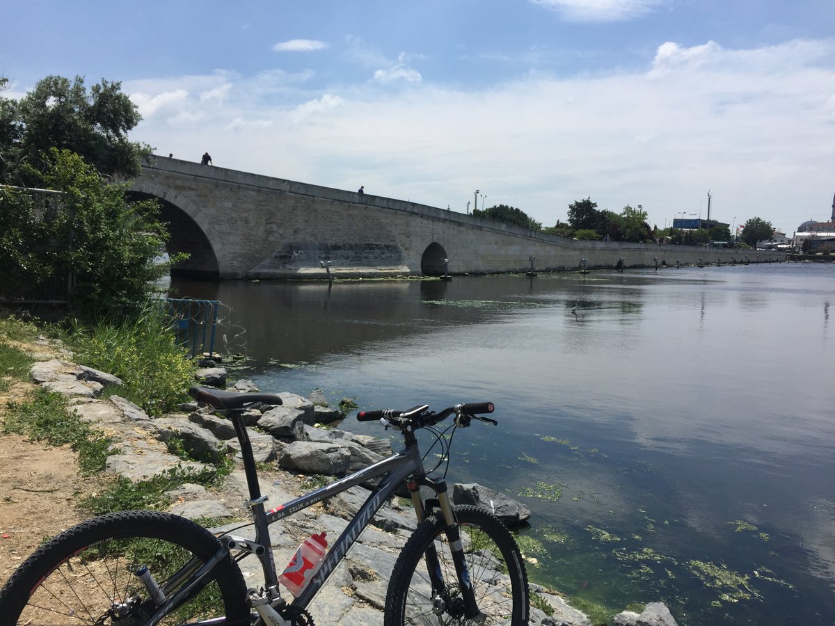 aydan celik tweet media