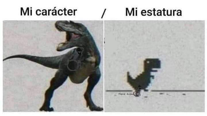 A_Bathory_24's tweet photo. @asabfb Do you think this flower can help me?? 
My character / my stature https://t.co/nUT16x1urX