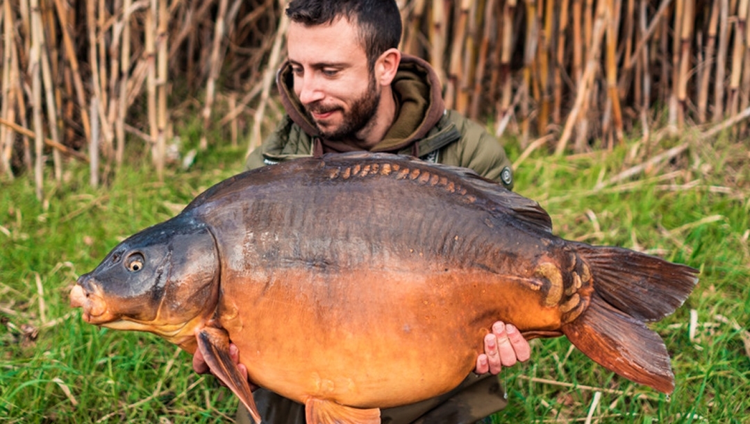 trakker fishing tackle