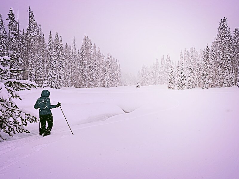 We've  got close to 8 feet of snow at Lolo Pass today. 
Avalanche danger is considerable. 
Snowmobile lot is close to being full. 24 degrees