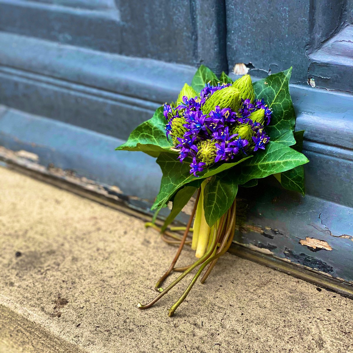 Leave a Tutti Mussi on some ones doorstep.
#mindfulness #mindset #mind #mentalhealthawareness #mentalhealthmatters #mentalhealthsupport #flowersmakemehappy