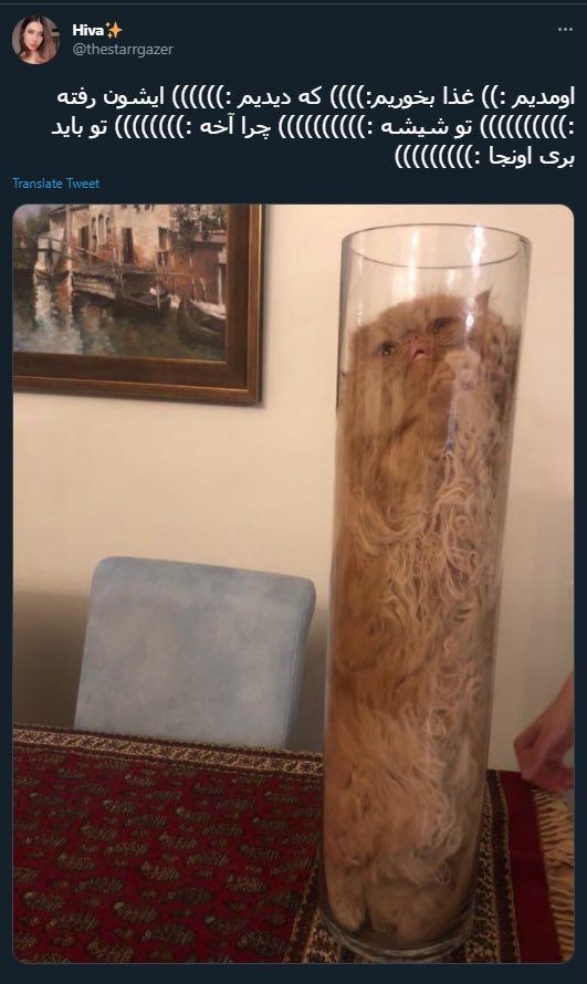 gh0lch0magh's tweet photo. اولا:))))که:))))کیر:))کسکش:))))جنده:)))با:))این:))))مدل:))))))توییت:))کردنت:)))
این حرومزاده‌هارو ول کنی ننه‌باباشونم میکنن تو آکواریوم کوسه‌ها واسه ۴تا لایک ازشون عکس می‌گیرن، شیرخوار تا کیرخوار جنده‌توجهتونو گاییدم. https://t.co/o02009MsLc