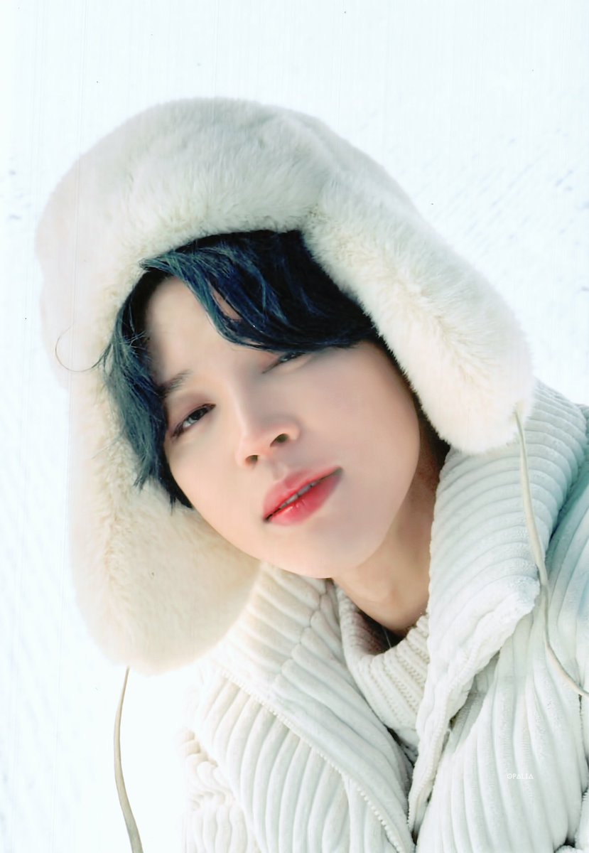 2021 BTS WINTER PACKAGE ウィンパケ ジミン JIMIN - K-POP/アジア