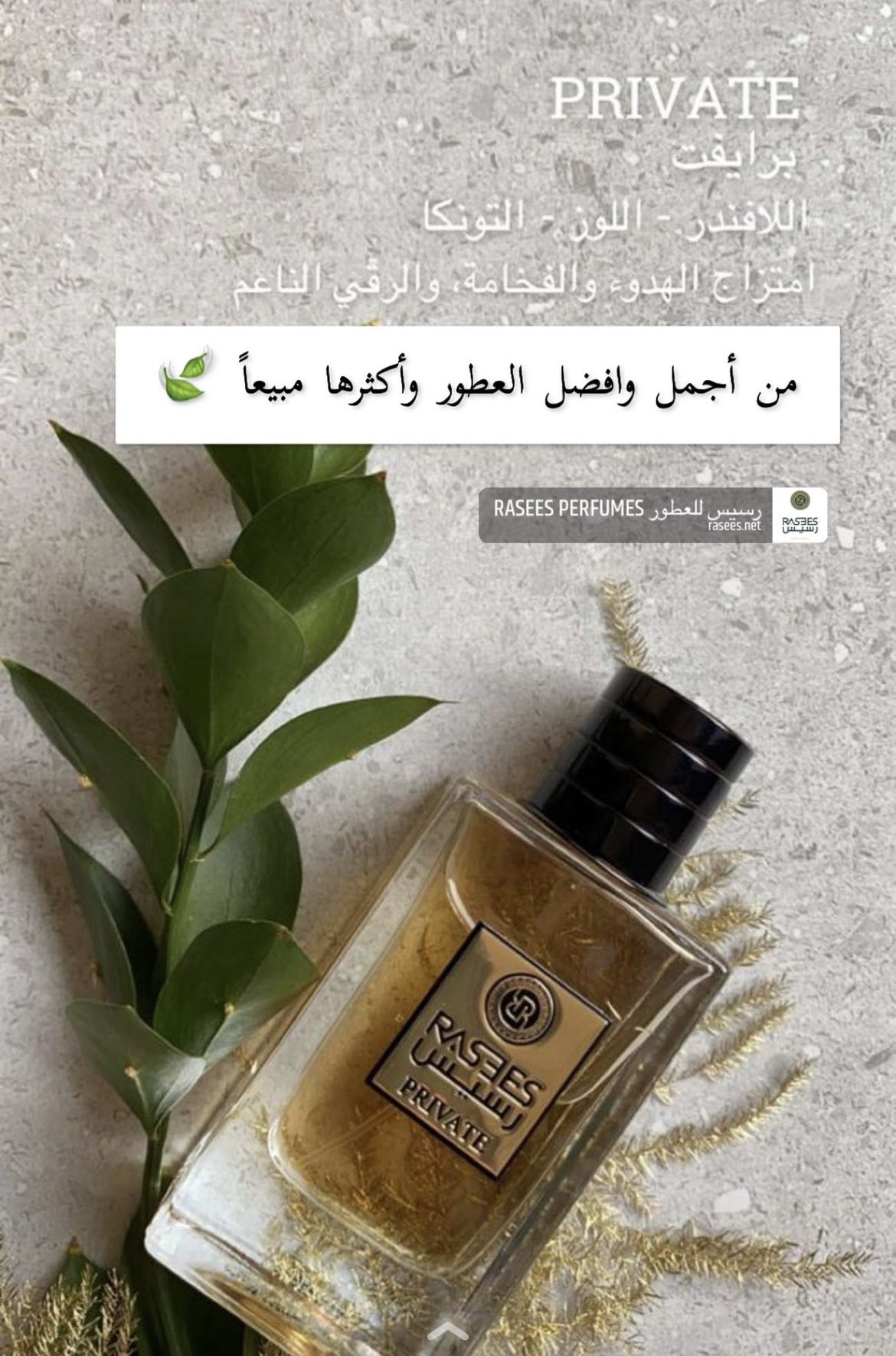 عطر كلاسيك من رسيس