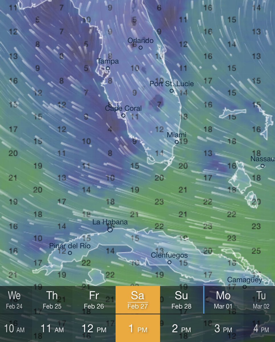 twxman911's tweet photo. @JackLinFLL @NWSKeyWest @FloridianCreat1 @JulieDurdaWPLG @lukedorrisWPLG @BrandonOrrWPLG #FLwx
#WindSpeed mph & #WindGust mph & #WaveHeight
@Ventuskycom https://t.co/fbISIZMVLW