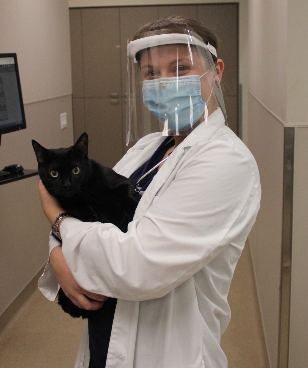 ConejoVet's tweet image. Happy Caturday! We are proud to be a Cat Friendly Practice! Check out our Facebook to see the steps we took to became a Cat Friendly Practice.  #caturday #nationalcathealthmonth #veterinarian #felinefriend #catfriendlypractice #conejovet
