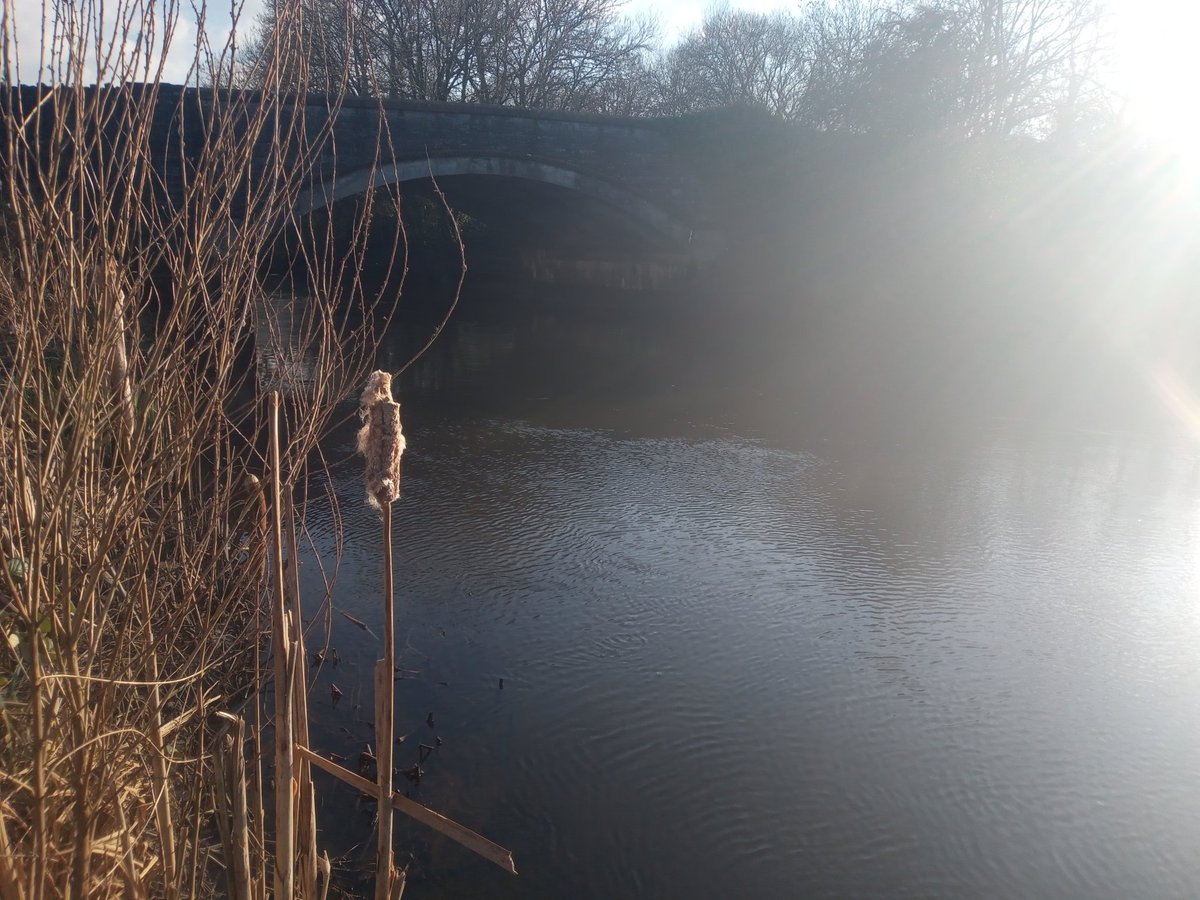 grantfloyd's tweet photo. Apparently cold water swimming has all sorts of health benefits......  🥶
#YetToBeConvinced 😂 https://t.co/YRU2W5uxPQ