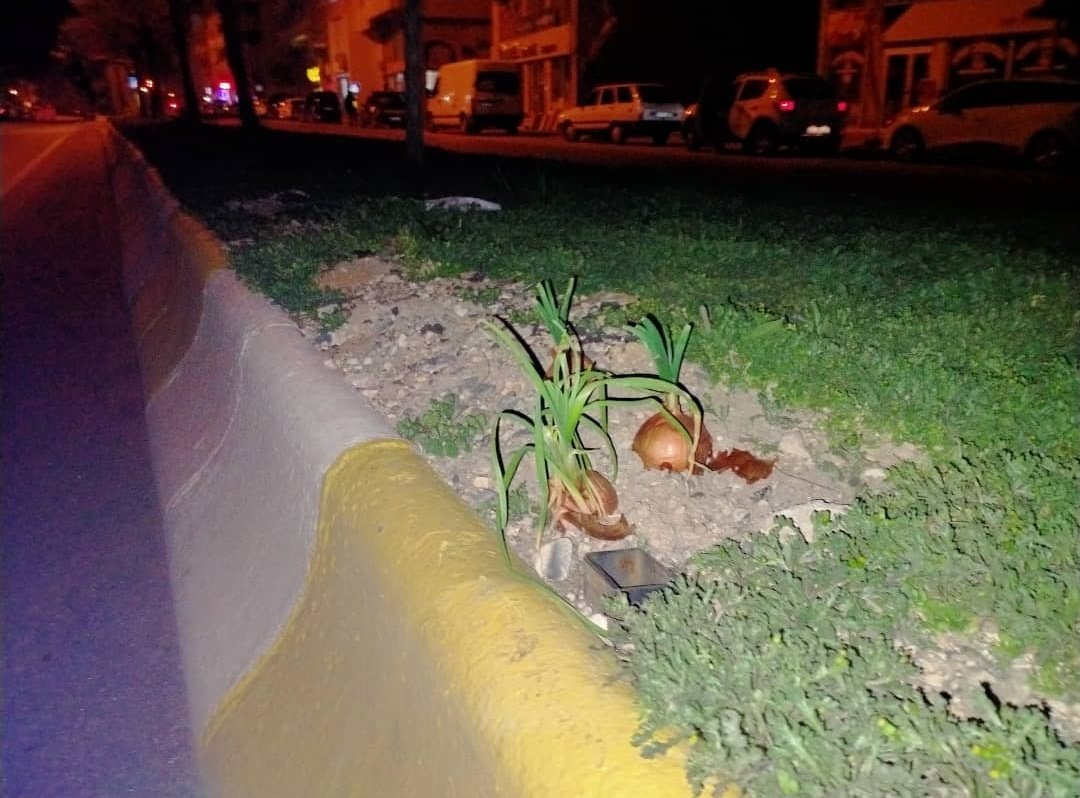 Bi gezmeye çıkiym dedim karşılaştığım manzaraya bak