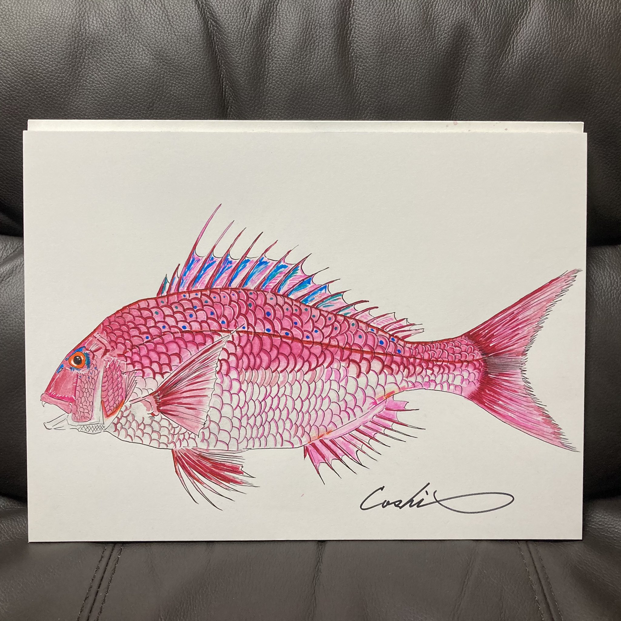 Coshi Wylde 真鯛を描いてみました 食べて美味しいのは勿論 いつ見てもカッコいい顔と美しい魚体だなぁって思います 真鯛 マダイ 桜鯛 Japaneseredseabream Seabream 魚 Fish タイラバ 料理 釣り Fishing イラスト Art 絵画 絵 水彩画