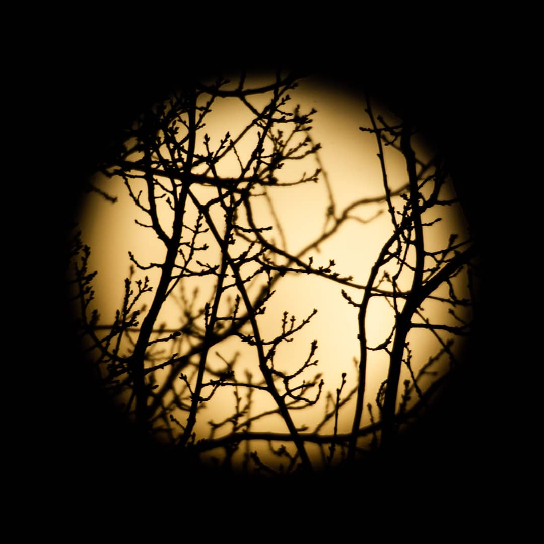 DPvanLoo's tweet image. #vollemaan #fullmoon #moon #moonlover @Alpenweerman @BuienRadarNL #maan #drenthe #Emmen #Nederland #lente #koud