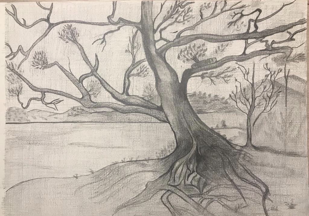 Kırmızı Çizgi #drawing #trees #dayofthepainter 01.12.2018
