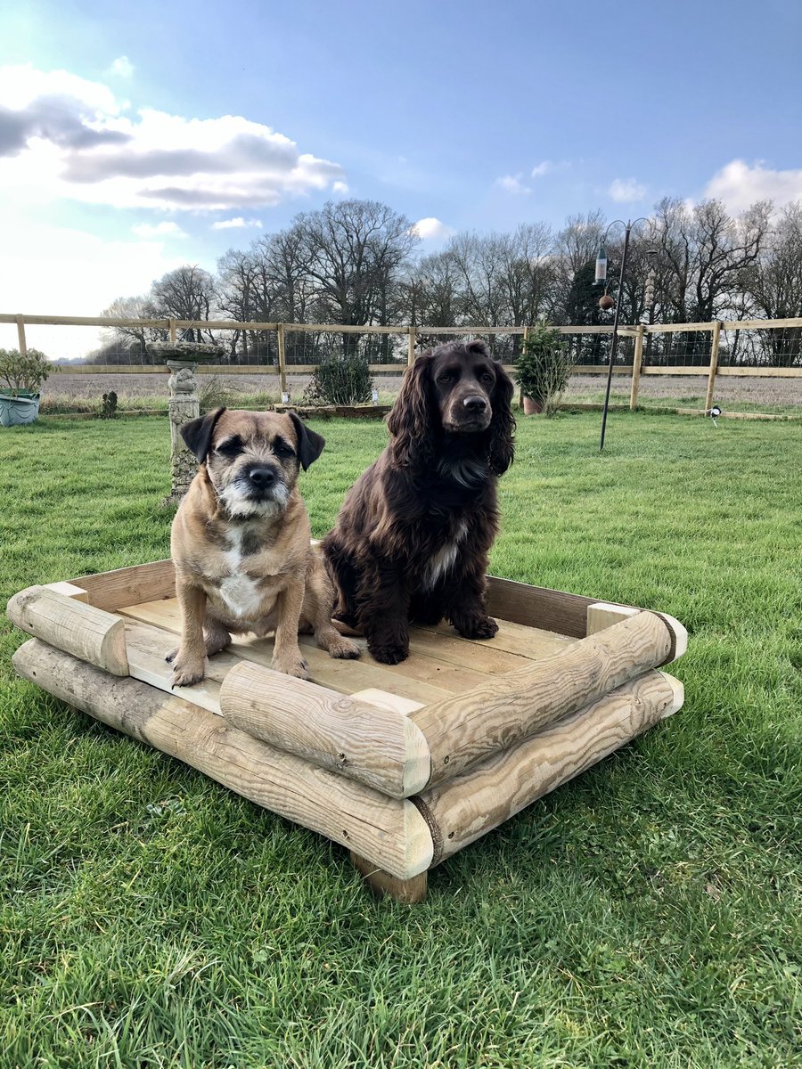 Nigel_Scullion's tweet photo. The Mem Sahib wanted a raised garden platform for the hooligans , only just had enough wood ! #notacarpenter https://t.co/1r72HBMes6