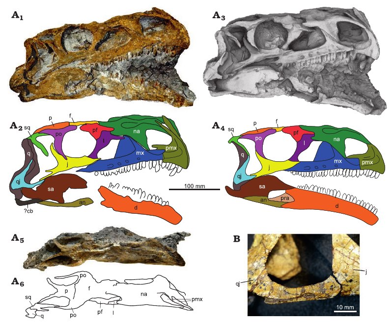 Kimi Chapelle tweet media