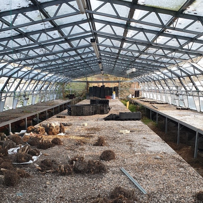 Thanks to everyone who has shared and donated to our new Greenhouse Project in Witton Park, #Blackburn🌱 Please help us reach our target➡ bit.ly/2Z4KRmc #PleaseRT #Donate

<a href="/blackburndarwen/">Blackburn with Darwen Council</a> <a href="/Lancswildlife/">Lancashire Wildlife Trust</a> <a href="/FoodBwD/">BwD Food Alliance</a> <a href="/Bburnfoodbank/">Blackburn Foodbank</a> <a href="/lancstelegraph/">Lancashire Telegraph</a> <a href="/BBCLancashire/">BBC Lancashire</a> <a href="/Shigufta1/">Shigufta khan</a>