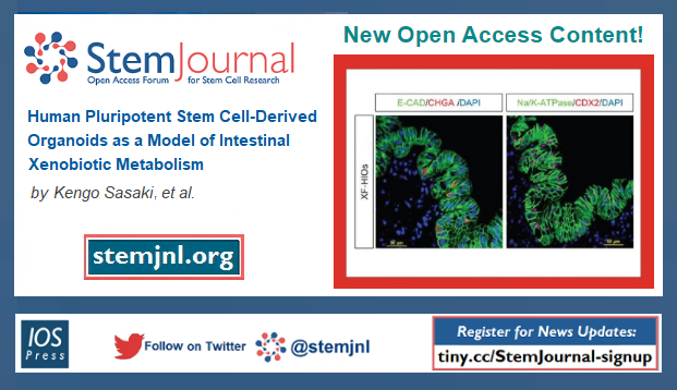 stemjnl's tweet photo. View the newest article published in #StemJournal via our recent newsletter at: https://t.co/Qd6WXtlIih.
& submit your own stem cell research at: https://t.co/lpMLCu8Nmt
#Xenobiotics #HumanIntestinalOrganoids #Intestinal #Organoids #iPScells #EScells #CYP3A #hPSCs #StemCells https://t.co/BkvHctLAXJ