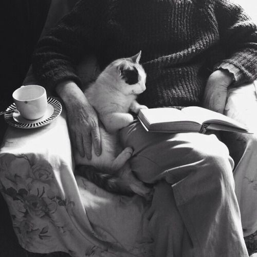 PRedondas's tweet photo. Te quiero como para ir contigo
a los lugares que más frecuento
y contarte que ahí
es donde me siento a pensar en ti.
Jaime Sabines https://t.co/BLgL2QQhJO
