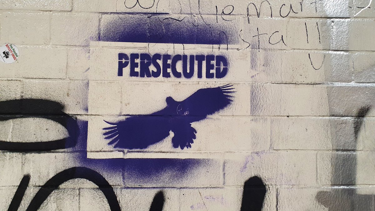 A very clear message in this graffiti spotted today in an #Edinburgh underpass. How is #RaptorPersecution still a thing in the UK in 2021? @RaptorPersScot @MarkAvery @WildJustice_org @ScotRaptorStudy @ScotGamekeepers @ScotLandEstates