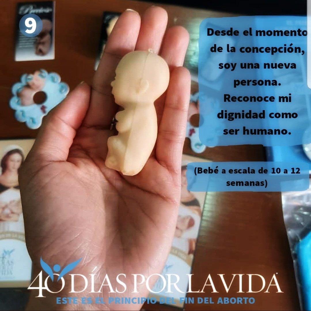 YoliFilo's tweet photo. Segunda reflexión:
Si eres de aquellas personas que defiende un uso de la libertad de manera egoísta, debes diferenciar primero la distinción entre libertad y libertinaje, y segundo aceptar que el uso de la LIBERTAD va indisolublemente unido al de RESPONSABILIDAD @40diesperlavida https://t.co/4q4DLs6Bt6
