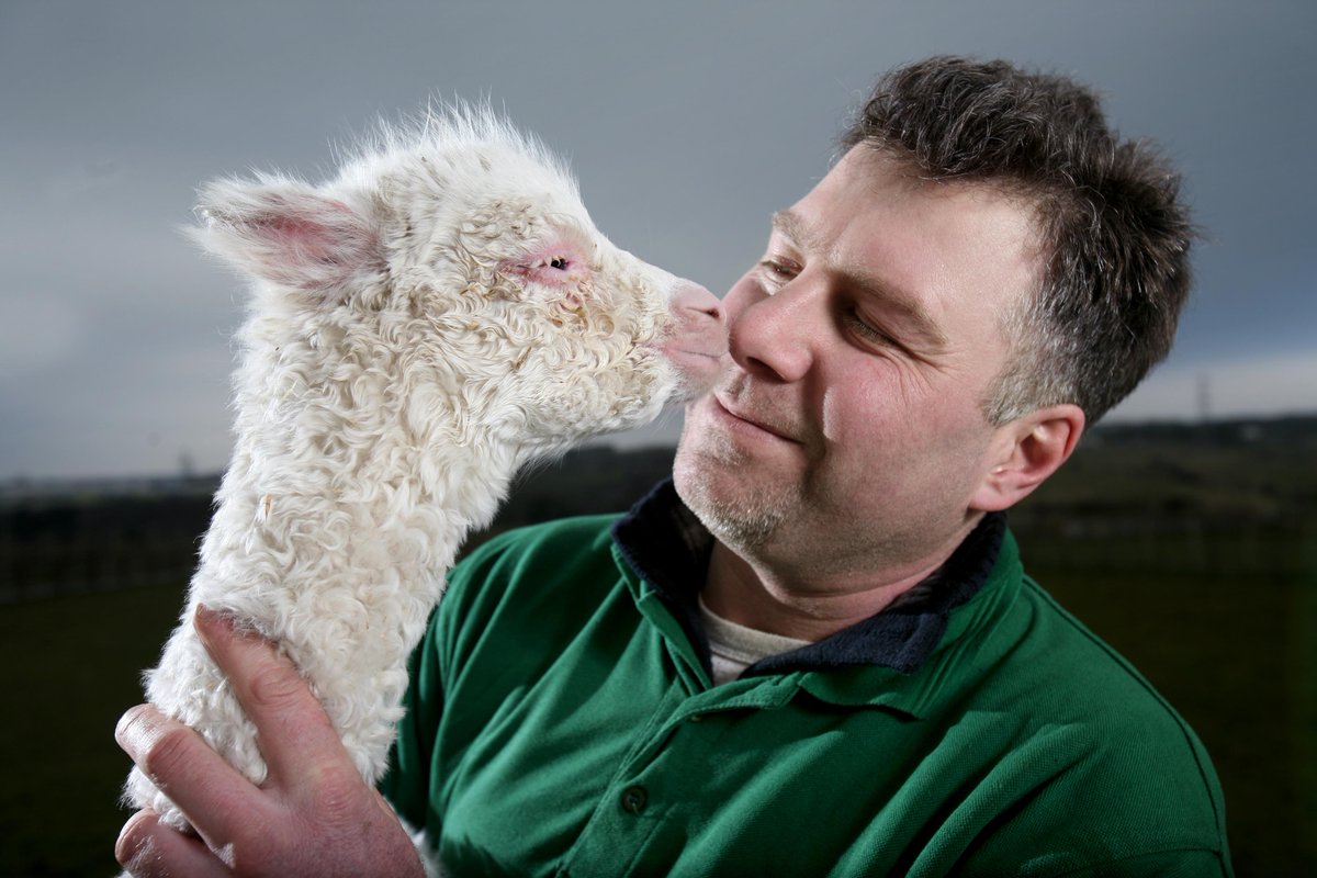 On this day in 2013

Harry, an alpaca who defied nature to be born in the winter, with farmer Heath Kershaw at at Wellybobs farm park, Darwen, Lancashire.