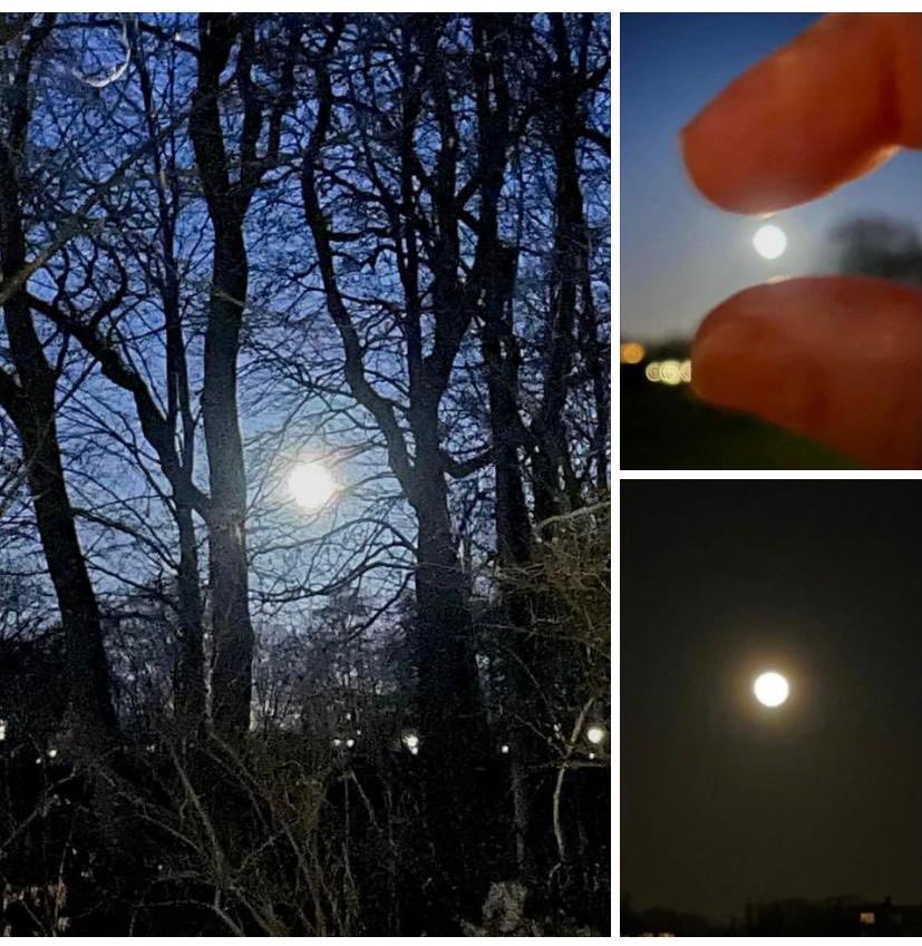 ⁦<a href="/parkschothorst/">park schothorst</a>⁩ bij volle maan