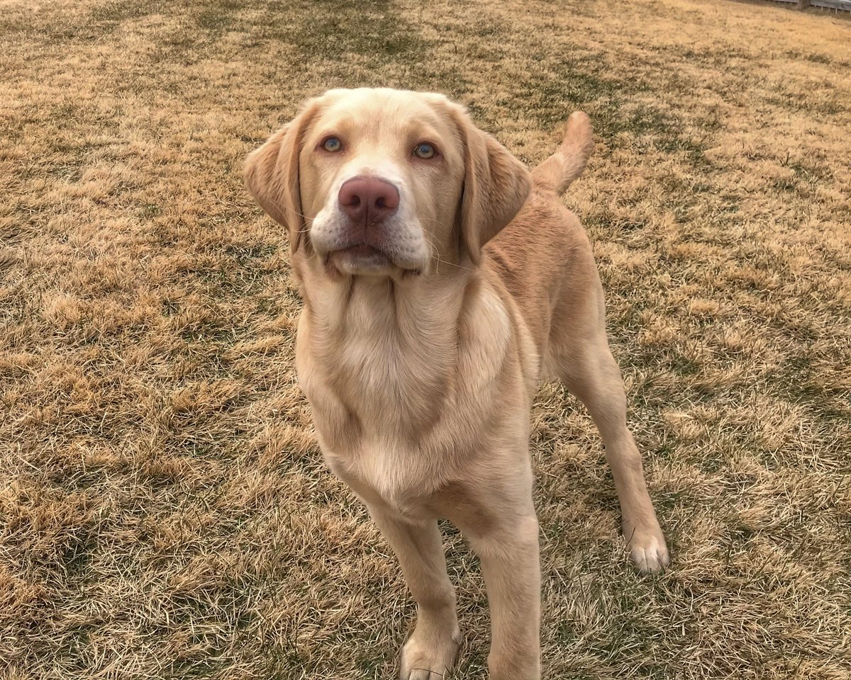 Max...throw the damn ball!