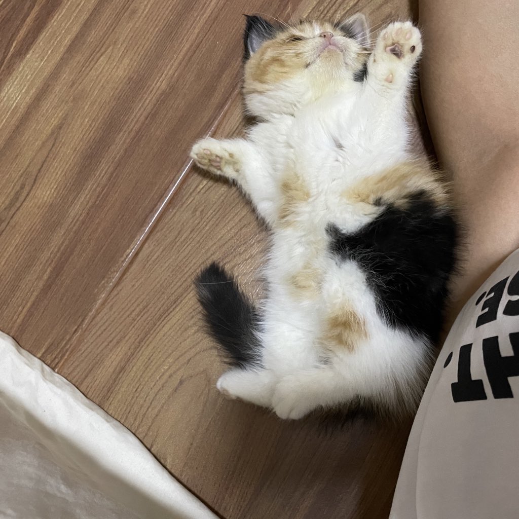 บีมกับน้องๆ tweet media